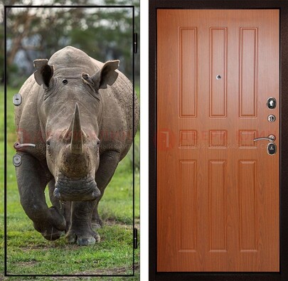 Металлическая дверь с фотопечатью носорога ДФ-31 в Апрелевке